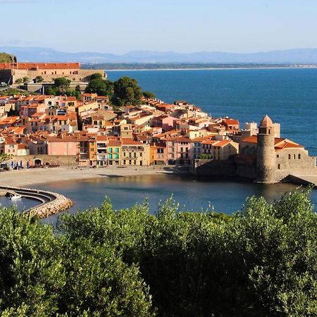 Cosy Nid Douillet Au Coeur Du Centre Ville De Perpignan Zewnętrze zdjęcie